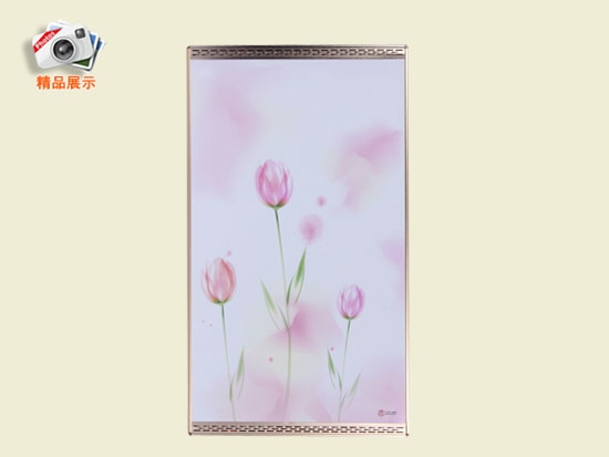 500W對(duì)流碳晶墻暖